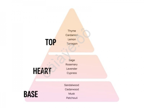 Освежитель воздуха "AREON X-VER" подвесной бумажный (New CarНовая Машина)