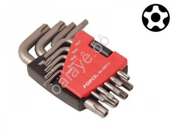 F50913 Набор пятигранников с отверст. 9пр. TS10-TS50 /1/10/40 F50913 Набор пятигранников с отверст. 9пр. TS10-TS50 /1/10/40