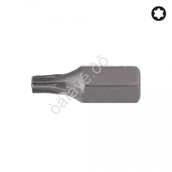 F1763025 Вставка TORX T25 /10/240 F1763025 Вставка TORX T25 /10/240