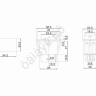 Выключатель клавишный 12V 35А (4с) ON-OFF  с синей LED подсветкой  (ASW-17D)  REXANT