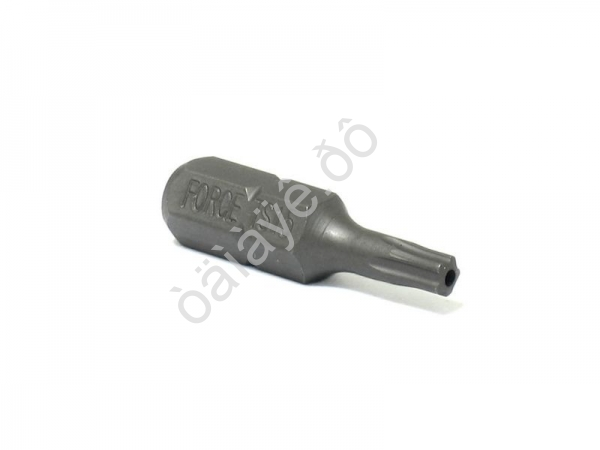 F12F2515 1/4" Бита TORX с отверстием 5-ти лучевая TS15 /10