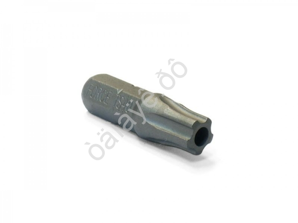 F12F2540 1/4" Бита TORX с отверстием 5-ти лучевая TS40 /10