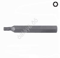 F1767550 Бита TORX  T50  L=75mm  /10/250