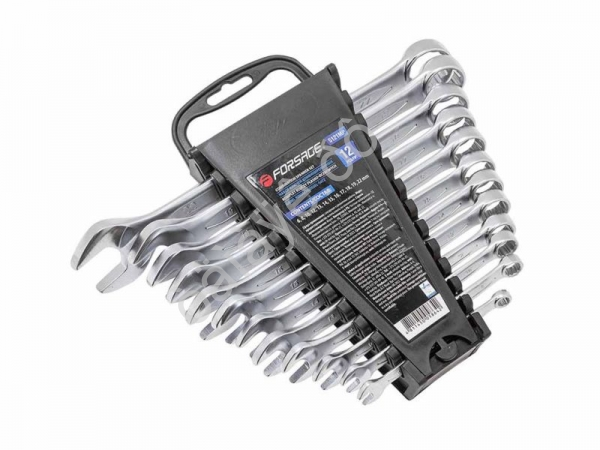 Набор ключей комбинированных 12пр. (6.8,10,12-19,22мм) в пласт.держателе /1/4 Forsage