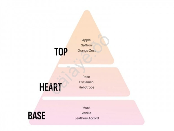 Освежитель воздуха "AREON" подвесной гелевый SPECIAL SELECTION For him (Aristocrat/Аристократ)